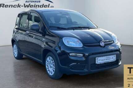 Fiat Panda 4.790 km 15.989 &euro; Ludwigshafen 67071