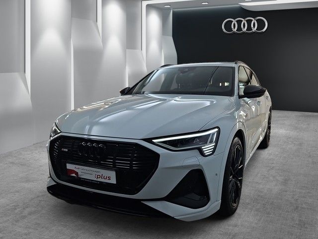 Audi e-tron 30.015 km 55.980 &euro; Speyer 67346