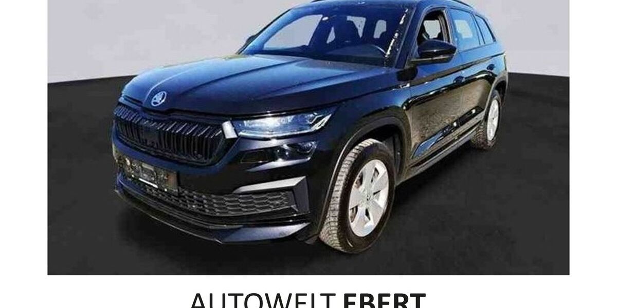 Skoda Kodiaq 123.890 km 29.890 &euro; Weinheim 69469