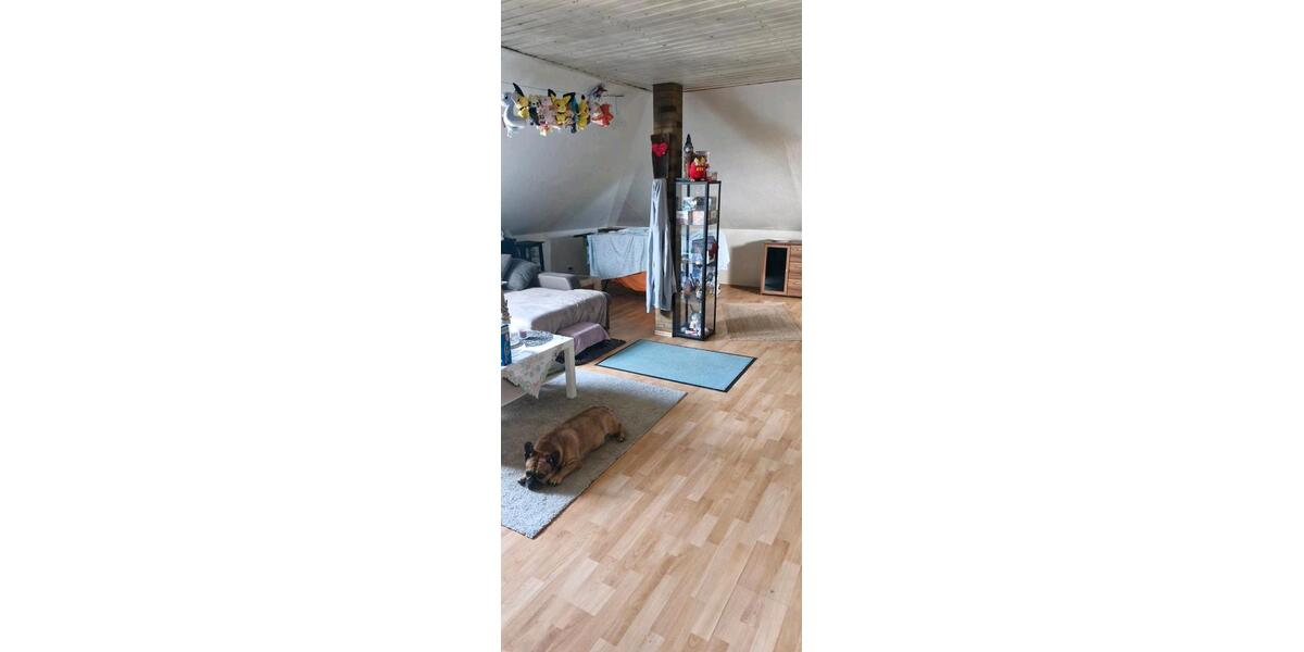 Dachgeschoßwohnung Schwetzingen - 1 Zimmer, 60 m&sup2;, 219.000&euro; | Angebot:27301073