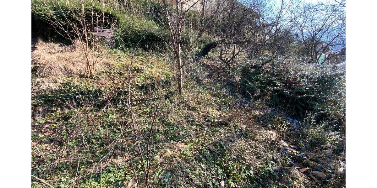 GLOBAL INVEST SINSHEIM | 2-3-Familienhaus in toller Lage von Ziegelhausen mit unverbaubarem Blick 1 zimmer